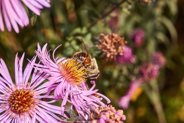 Similar image 21710580