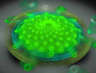 Similar image 21713480