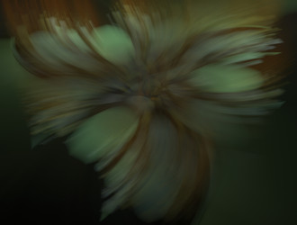 Similar image 21713793