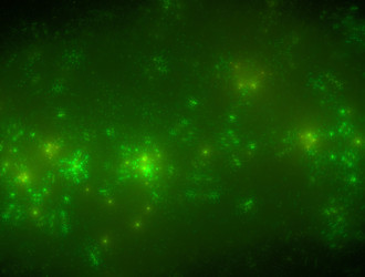 Similar image 21713491