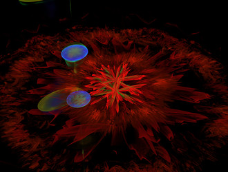 Similar image 21713495