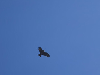 Similar image 21710299