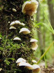 Similar image 21711725