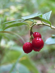 Similar image 21711041