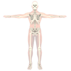 Similar image 21714002