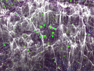 Similar image 21713528