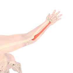 Similar image 21717699