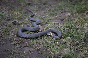 Similar image 21711042