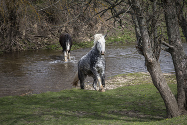 Similar image 21711043