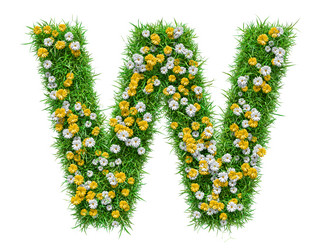 Similar image 21717345