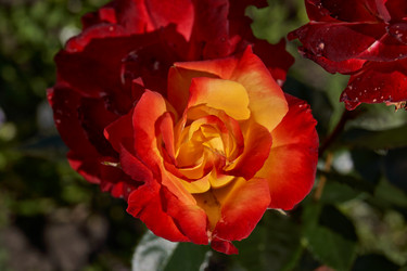 Similar image 21710582