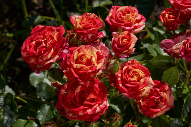 Similar image 21710584