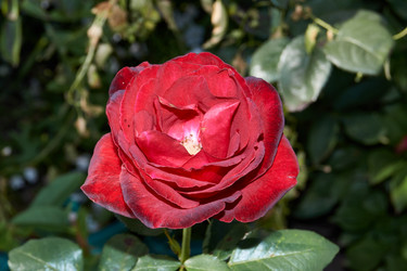 Similar image 21710587