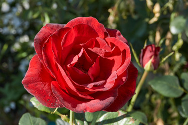 Similar image 21710588