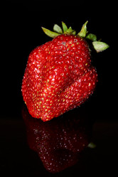 Similar image 21710593