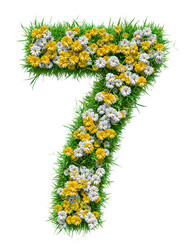 Similar image 21713947