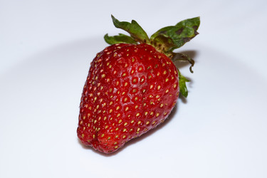 Similar image 21710598