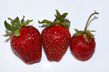 Similar image 21710600