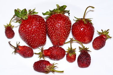 Similar image 21710601