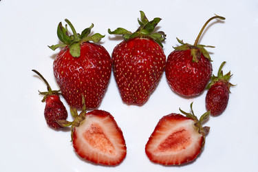 Similar image 21710602