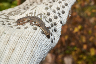 Similar image 21710607