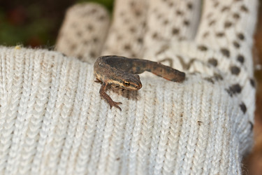 Similar image 21710608