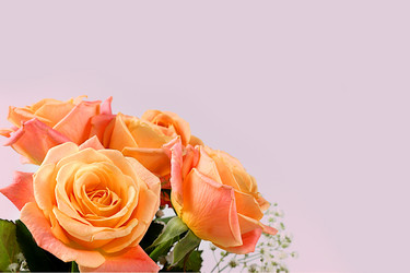 Similar image 21710349