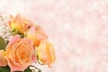 Similar image 21710351