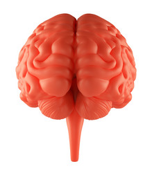 Similar image 21713999