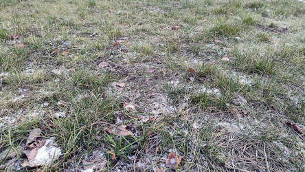 Similar image 21711389