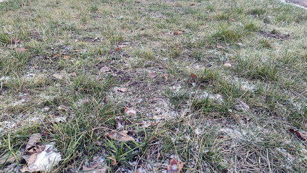 Similar image 21711391