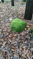 Similar image 21711392