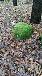 Similar image 21711393