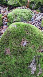 Similar image 21711995