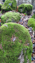 Similar image 21712203