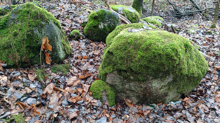 Similar image 21712205