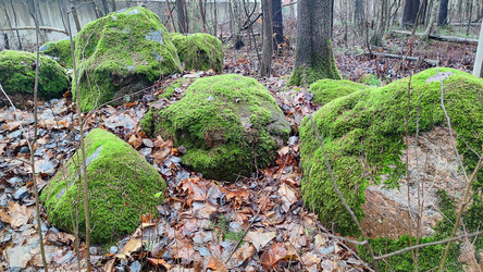 Similar image 21712207