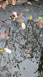 Similar image 21712210