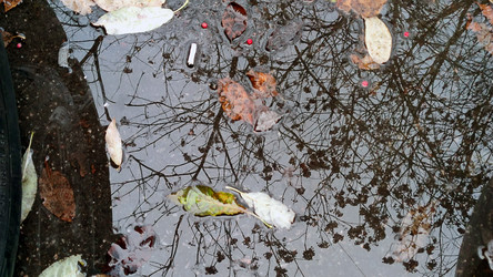 Similar image 21712212