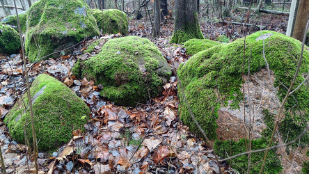 Similar image 21712213