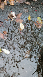 Similar image 21712214