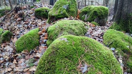 Similar image 21712215