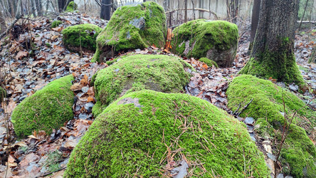 Similar image 21712216