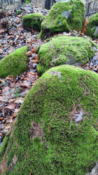 Similar image 21712218