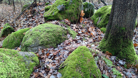 Similar image 21712219