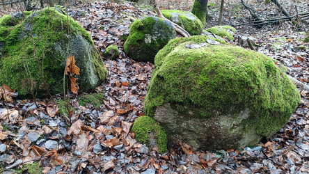 Similar image 21712220