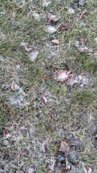 Similar image 21712225