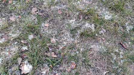 Similar image 21712227