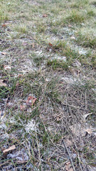 Similar image 21712228