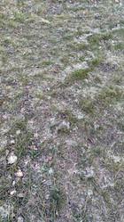 Similar image 21711251